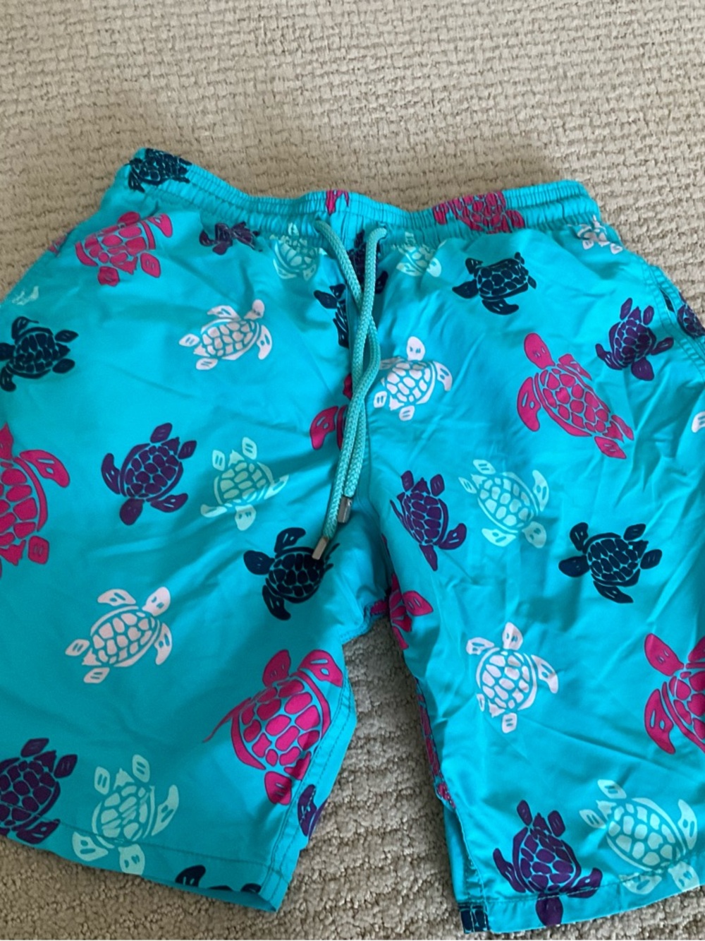 Turquoise Turtle Print Swim Trunks